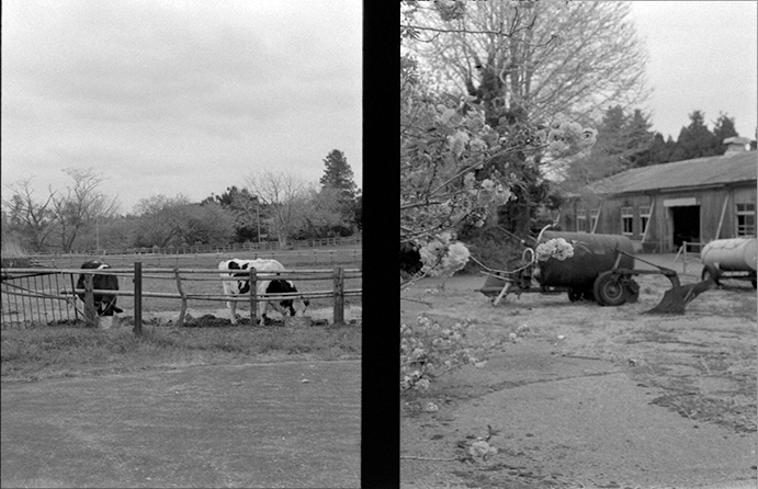 f:id:aremo-koremo:20180422235918j:plain