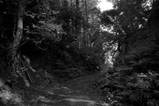 f:id:aremo-koremo:20180515164346j:plain f:id:aremo-koremo:20180515164346j:plain