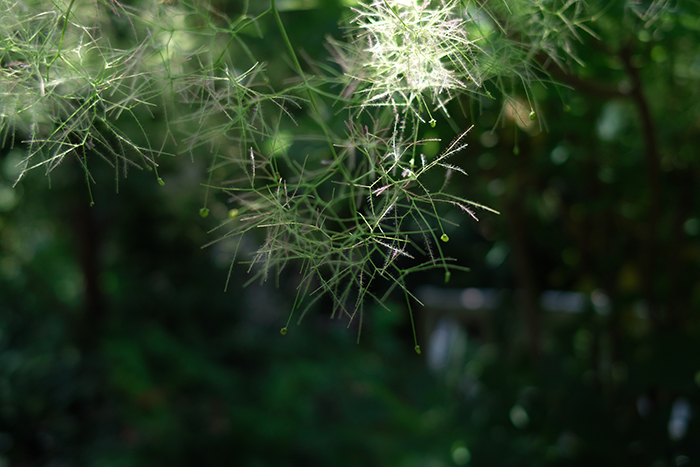 f:id:aremo-koremo:20180611155751j:plain f:id:aremo-koremo:20180611155751j:plain