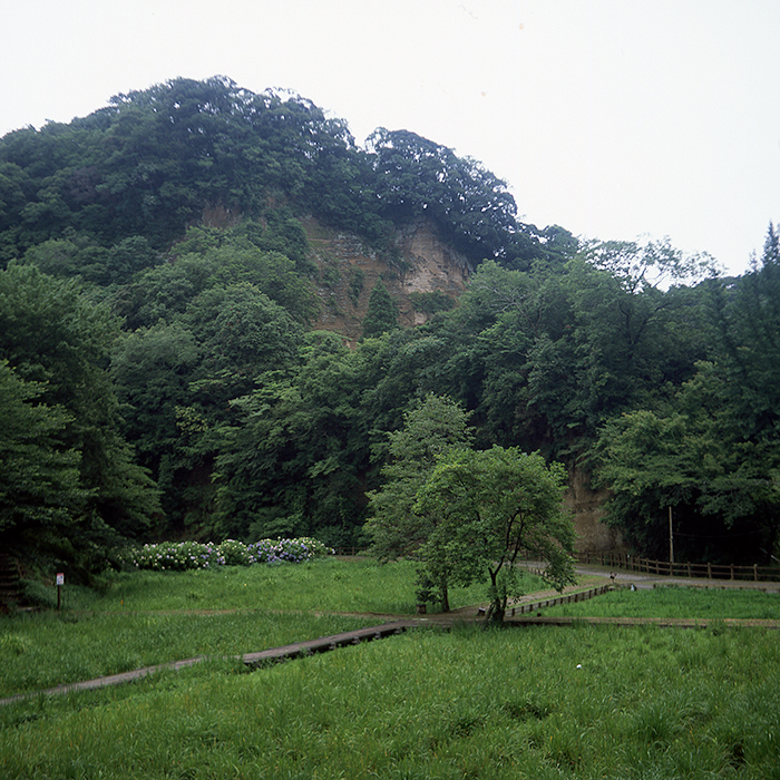 f:id:aremo-koremo:20180710040954j:plain