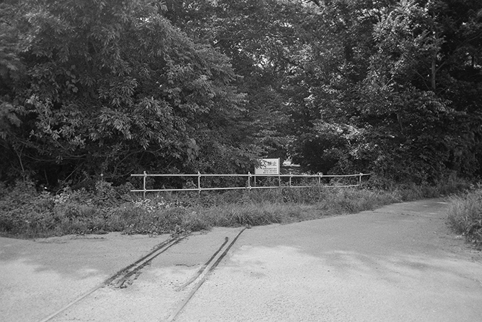 f:id:aremo-koremo:20180723155804j:plain