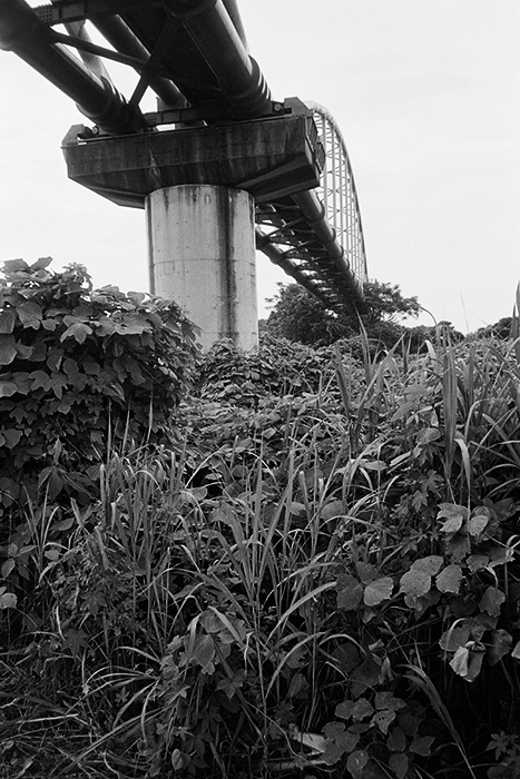 f:id:aremo-koremo:20180723165408j:plain