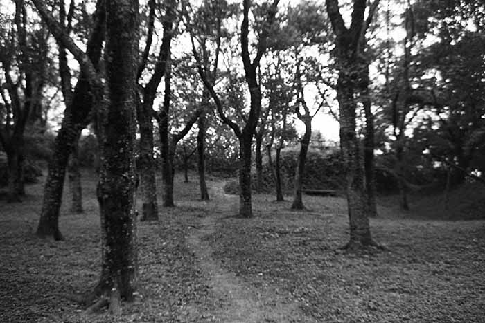 f:id:aremo-koremo:20180727231739j:plain