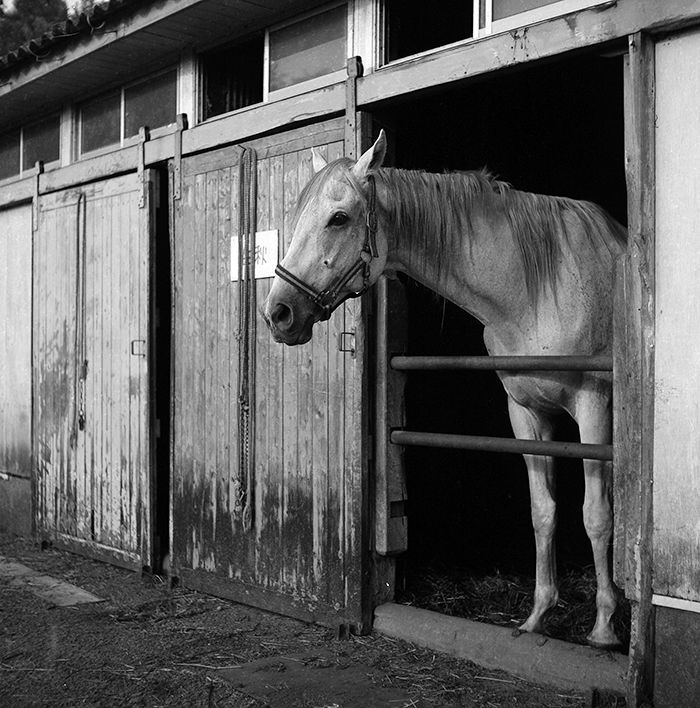 f:id:aremo-koremo:20180805153003j:plain