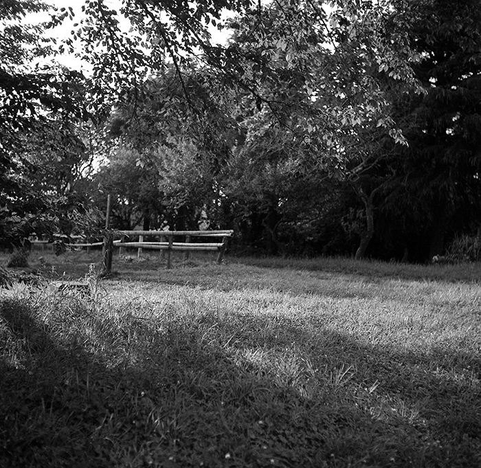 f:id:aremo-koremo:20180805154731j:plain