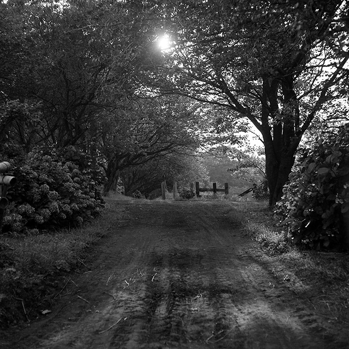 f:id:aremo-koremo:20180805154801j:plain