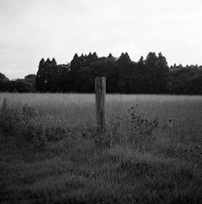 f:id:aremo-koremo:20180805154951j:plain