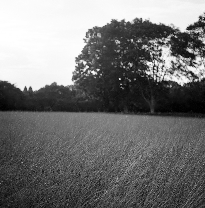 f:id:aremo-koremo:20180805155030j:plain