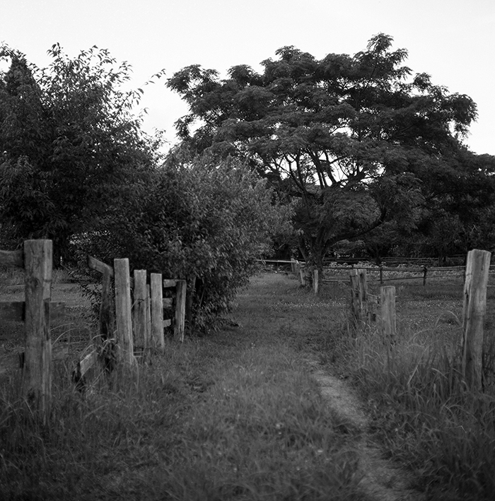 f:id:aremo-koremo:20180805155219j:plain