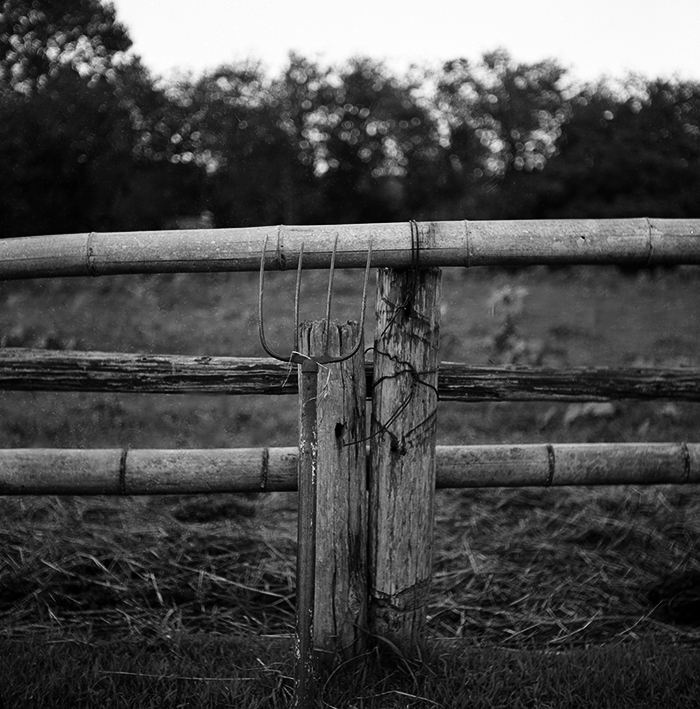 f:id:aremo-koremo:20180805155251j:plain