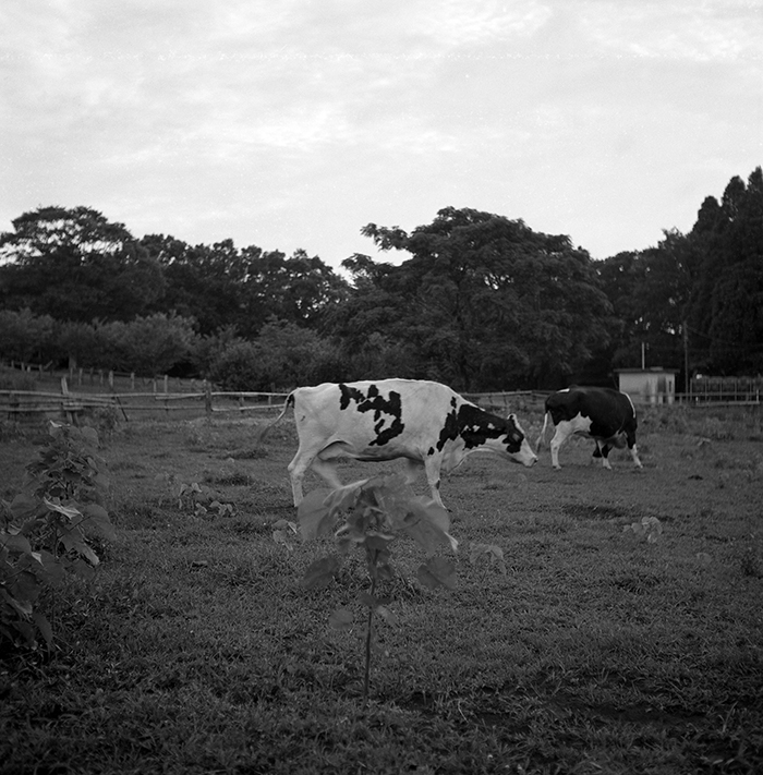 f:id:aremo-koremo:20180805155414j:plain