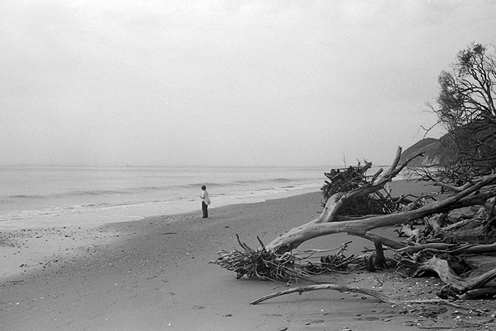 f:id:aremo-koremo:20181003155854j:plain f:id:aremo-koremo:20181003155854j:plain