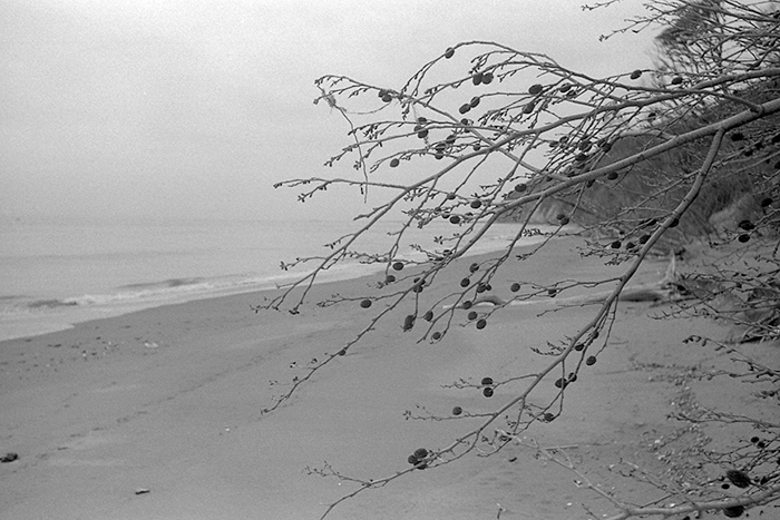 f:id:aremo-koremo:20181003160510j:plain f:id:aremo-koremo:20181003160510j:plain