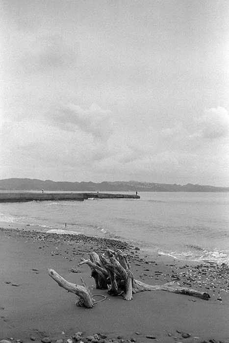 f:id:aremo-koremo:20181003160609j:plain f:id:aremo-koremo:20181003160609j:plain