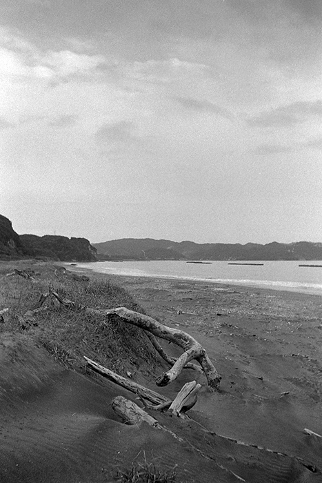 f:id:aremo-koremo:20181003161056j:plain f:id:aremo-koremo:20181003161056j:plain