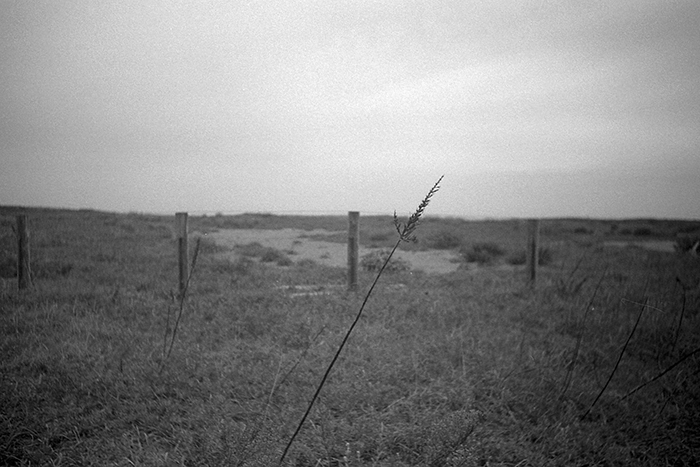 f:id:aremo-koremo:20181003163118j:plain f:id:aremo-koremo:20181003163118j:plain