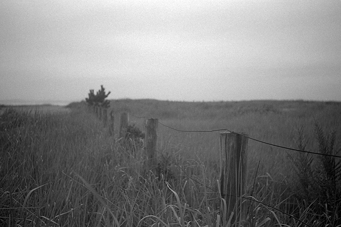 f:id:aremo-koremo:20181003163333j:plain f:id:aremo-koremo:20181003163333j:plain