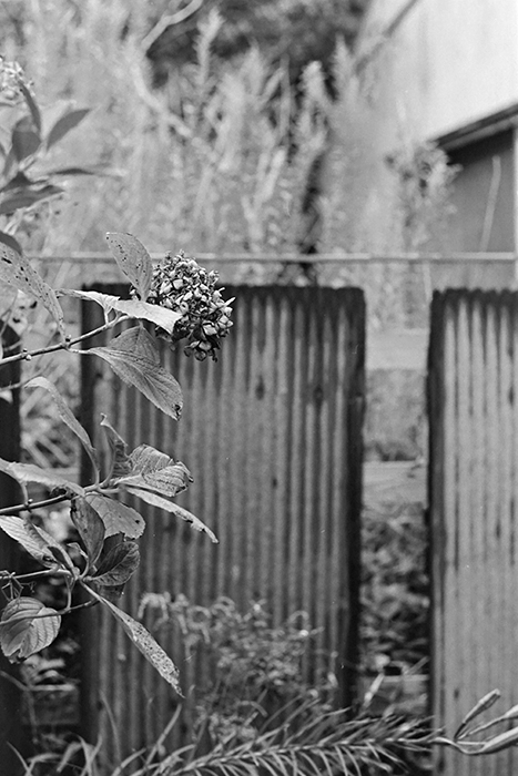 f:id:aremo-koremo:20181017172610j:plain