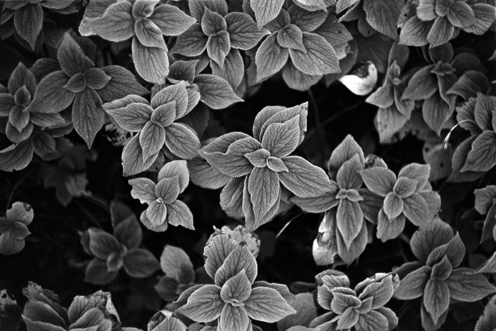 f:id:aremo-koremo:20181017180101j:plain