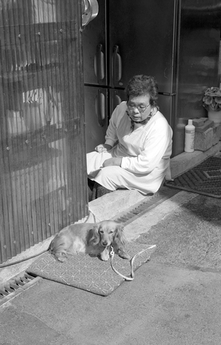 f:id:aremo-koremo:20181101014741j:plain f:id:aremo-koremo:20181101014741j:plain