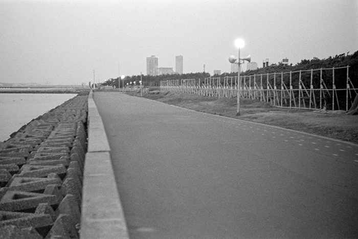 f:id:aremo-koremo:20181106030512j:plain