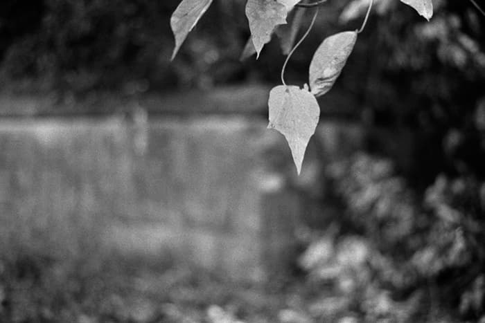 f:id:aremo-koremo:20181208201800j:plain