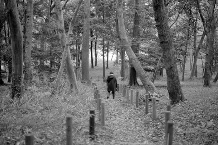 f:id:aremo-koremo:20181212202043j:plain