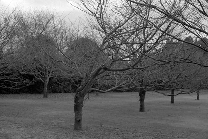 f:id:aremo-koremo:20181212203121j:plain