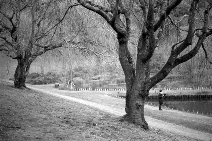 f:id:aremo-koremo:20181212222701j:plain