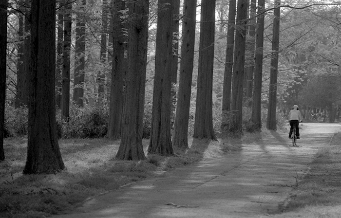 f:id:aremo-koremo:20190101001111j:plain