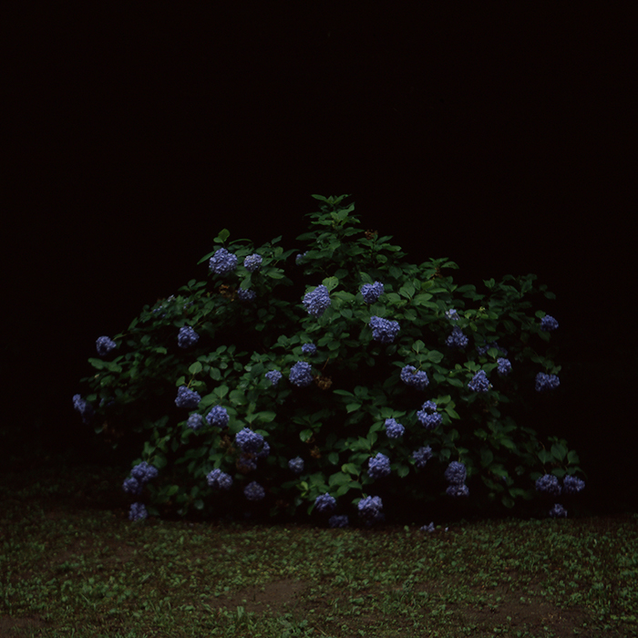 f:id:aremo-koremo:20190101001359j:plain