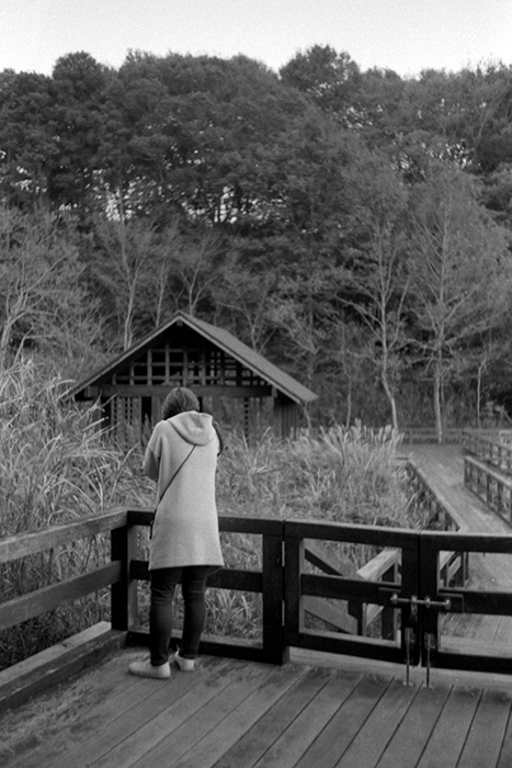 f:id:aremo-koremo:20190101001851j:plain