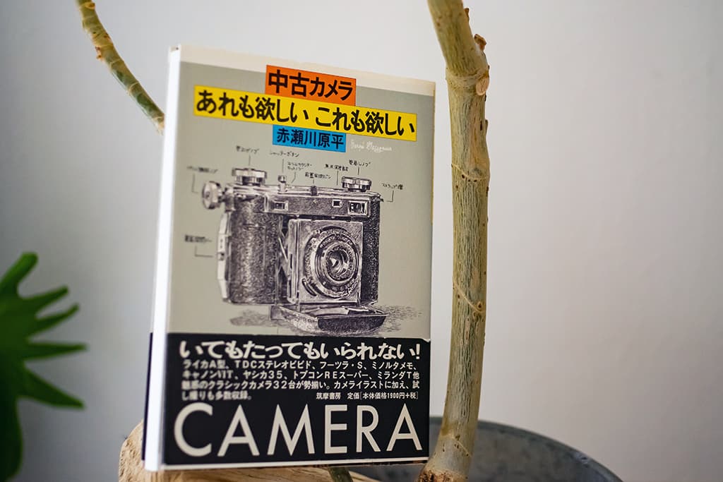 f:id:aremo-koremo:20190111161220j:plain