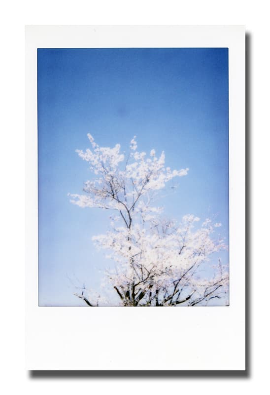 f:id:aremo-koremo:20190407205015j:plain