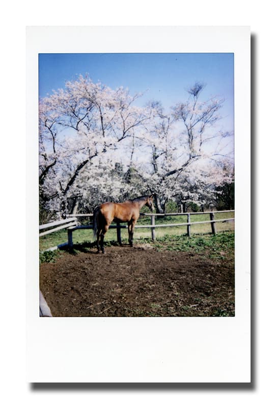 f:id:aremo-koremo:20190408033303j:plain
