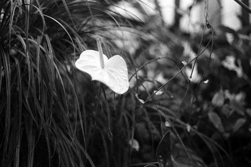 f:id:aremo-koremo:20190428040759j:plain