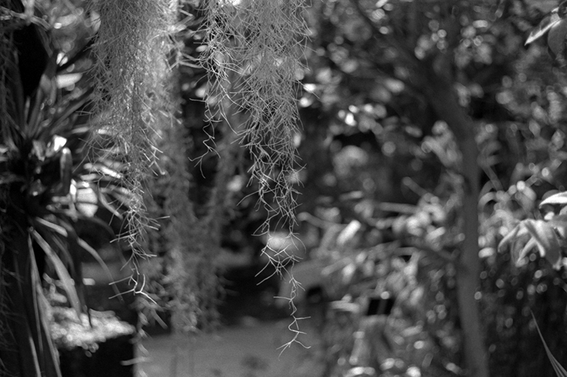 f:id:aremo-koremo:20190428040944j:plain