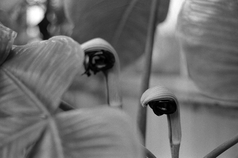 f:id:aremo-koremo:20190428041220j:plain