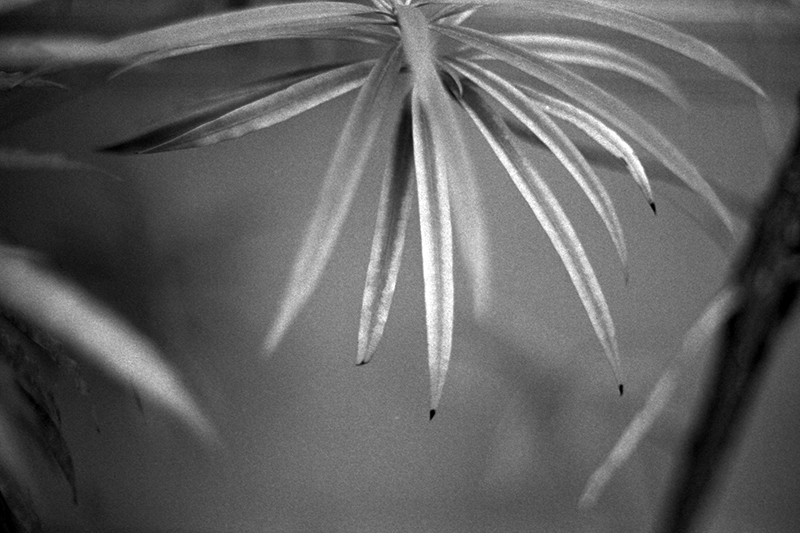 f:id:aremo-koremo:20190428041429j:plain