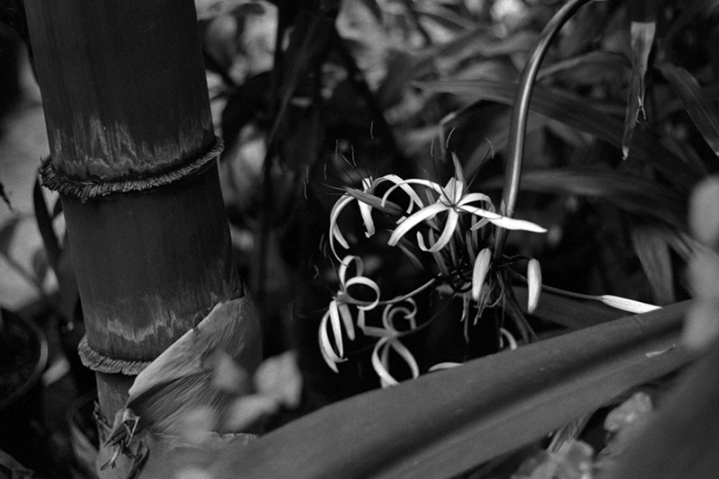 f:id:aremo-koremo:20190428041657j:plain