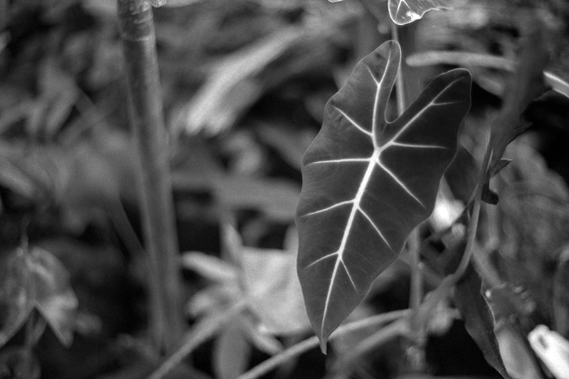 f:id:aremo-koremo:20190428041956j:plain