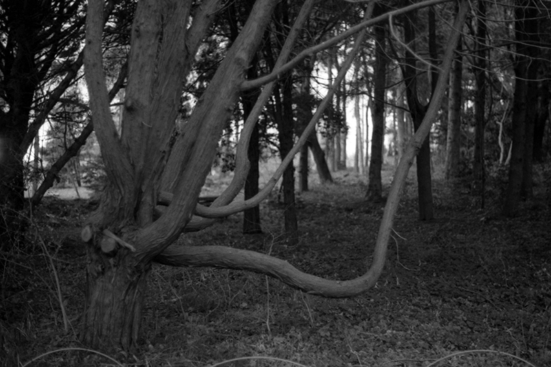 f:id:aremo-koremo:20190428042219j:plain