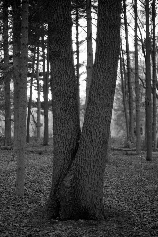 f:id:aremo-koremo:20190428042430j:plain