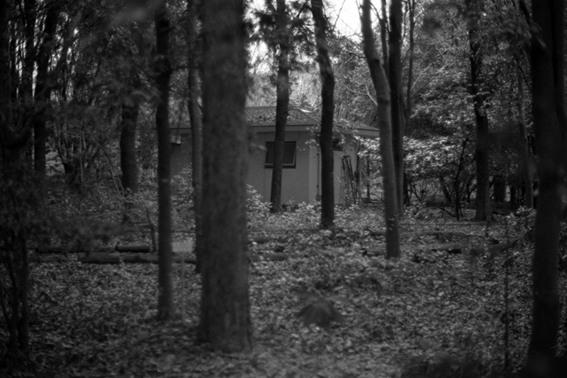 f:id:aremo-koremo:20190428042626j:plain