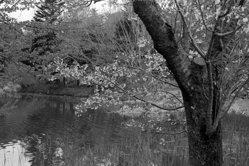 f:id:aremo-koremo:20190428043022j:plain