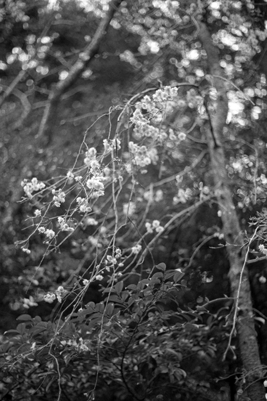 f:id:aremo-koremo:20190428043155j:plain