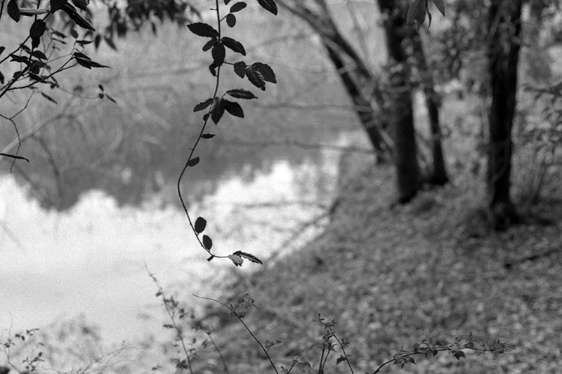 f:id:aremo-koremo:20190428043347j:plain