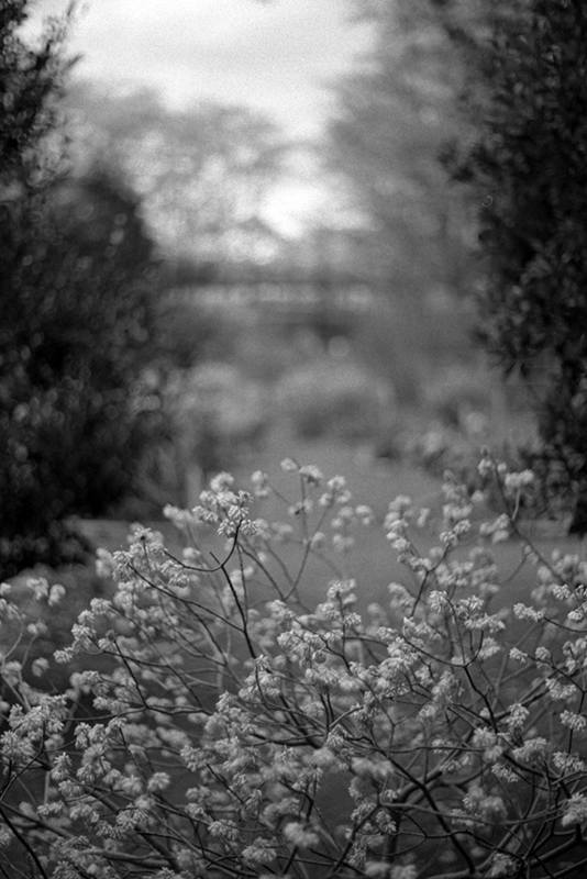 f:id:aremo-koremo:20190428043722j:plain