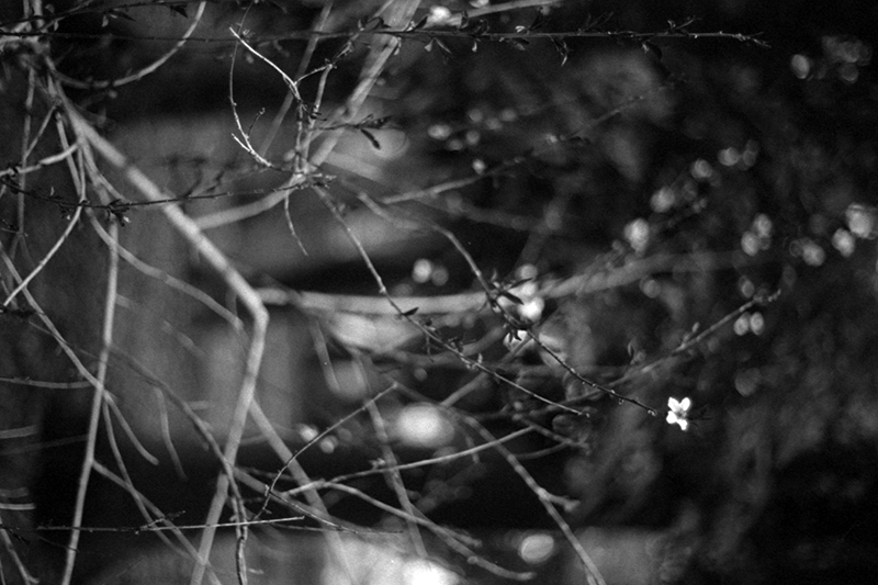 f:id:aremo-koremo:20190428043937j:plain