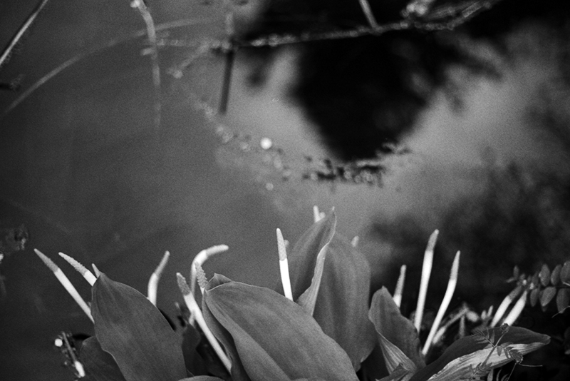 f:id:aremo-koremo:20190428044013j:plain